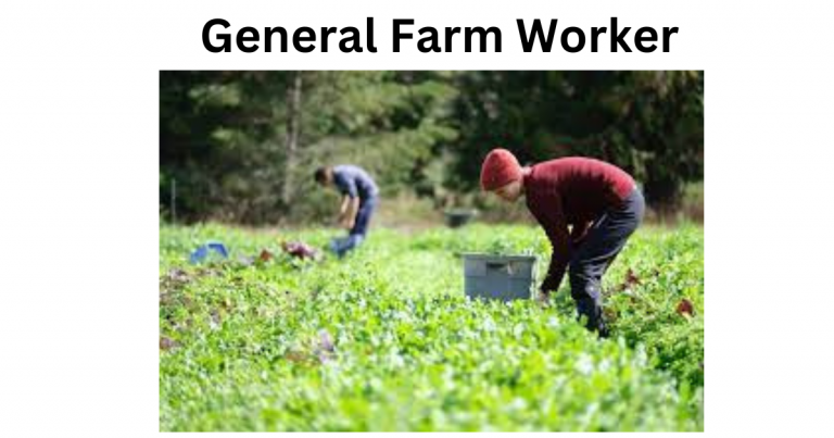 Farm Worker Jobs in Canada (15 New Jobs)